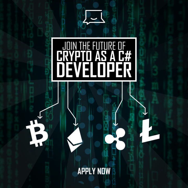 how to be a crypto developer
